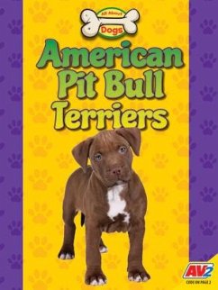 Cover American Pit Bull Terriers