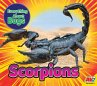 Scorpions - Bild 1