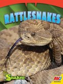 Rattlesnakes