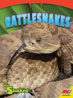 Rattlesnakes - Coupé, Jessica