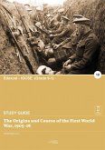 The Origins and Course of the First World War, 1905-18