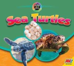 Sea Turtles - Carr, Aaron