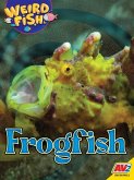 Frogfish