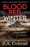 Blood Red Winter: An addictive mystery thriller with a shocking twist