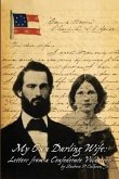 My Own Darling Wife: Letters from a Confederate Volunteer
