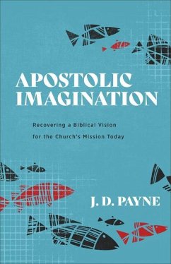 Apostolic Imagination - Payne, J. D.