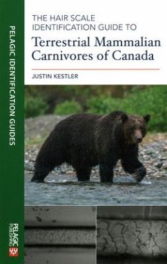 The Hair Scale Identification Guide to Terrestrial Mammalian Carnivores of Canada - Kestler, Justin