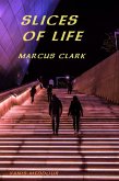 Slices of Life (eBook, ePUB)
