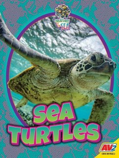 Sea Turtles - Siemens, Jared