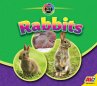 Rabbits - Bild 1
