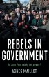 Rebels in government - Bild 1