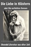 Die Liebe in Klöstern oder Die verliebten Nonnen (eBook, ePUB)