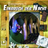 Tonspuren 1 - Einbruch der Nacht (MP3-Download)