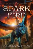 Spark the Fire (The Dragons of Mother Stone, #1) (eBook, ePUB)