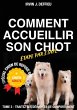 Comment accueillir son chiot étape par... - Bild 1