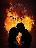 Flames In The Fire (eBook, ePUB)