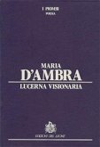 Lucerna Visionaria (fixed-layout eBook, ePUB)