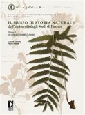 Il Museo di Storia Naturale dell'Università di Firenze – Le collezioni botaniche (eBook, PDF)