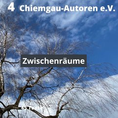 Zwischenräume (eBook, ePUB)