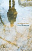 Querida cidade (eBook, ePUB)