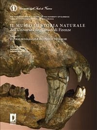 Il Museo di Storia Naturale dell'Università degli Studi di Firenze. Le collezioni geologiche e paleontologiche / The Museum of Natural History of the University of Florence. The Geological and Paleontological Collections (eBook, PDF) - Lorenzo, Rook; Simonetta, Monechi