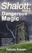 Shalott: Dangerous Magic (eBook, ePUB) - Bild 1