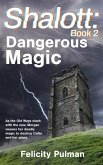 Shalott: Dangerous Magic (eBook, ePUB)