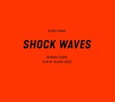 Shock Waves