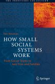 How Small Social Systems Work