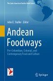 Andean Foodways (eBook, PDF)
