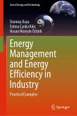 Energy Management and Energy Efficiency in Industry (eBook, PDF)