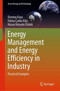 Energy Management and Energy Efficiency in Industry (eBook, PDF) - Kaya, Durmuş; Çanka Kılıç, Fatma; Öztürk, Hasan Hüseyin