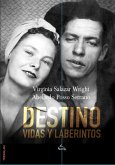 Destino (eBook, ePUB)