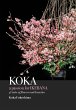 KOKA. A Passion for Ikebana - Bild 1