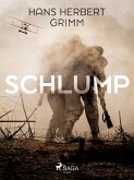 Schlump (eBook, ePUB)