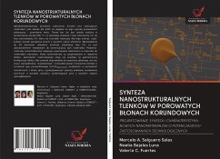 SYNTEZA NANOSTRUKTURALNYCH TLENKÓW W POROWATYCH B¿ONACH KORUNDOWYCH - Salguero Salas, Marcelo A.; Bajales Luna, Noelia; Fuertes, Valeria C.