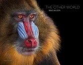 Brad Wilson: The Other World