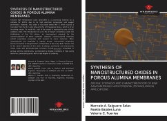 SYNTHESIS OF NANOSTRUCTURED OXIDES IN POROUS ALUMINA MEMBRANES - Salguero Salas, Marcelo A.; Bajales Luna, Noelia; Fuertes, Valeria C.