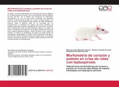 Morfometría de corazón y pulmón en crías de ratas con leptospirosis - Monzón Tamargo, María de Jesús; Carvajal, Daimara Grandía; González Sánchez, Rodovaldo