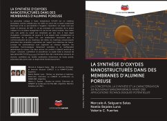 LA SYNTHÈSE D'OXYDES NANOSTRUCTURÉS DANS DES MEMBRANES D'ALUMINE POREUSE - Salguero Salas, Marcelo A.; Bajales Luna, Noelia; Fuertes, Valeria C.