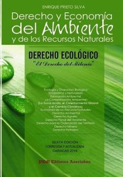 DERECHO ECOLOGICO - Derecho y Economia del Ambiente y de los RRNN: Derecho y Economia del Ambiente y de los Recursos Naturales - Prieto, Carmen Luisa; Prieto, Mileida Josefina; Prieto, Ingrid Cristina