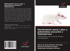 Morfometria serca i p¿uc u potomstwa szczurów z leptospiroz¿ - Monzón Tamargo, María de Jesús; Carvajal, Daimara Grandía; González Sánchez, Rodovaldo