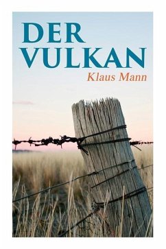 Der Vulkan: Roman unter Emigranten - Mann, Klaus