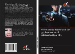 Riformazione del metano con CO2 in presenza di catalizzatori tipo HDL - Zoulikha, Zoulikha; Halliche, Djamila; Chaudhari, Prashant