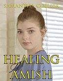 Healing Amish (eBook, ePUB)