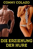 Die Erziehung der Hure (eBook, ePUB)