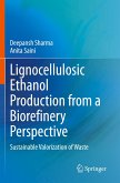 Lignocellulosic Ethanol Production from a Biorefinery Perspective