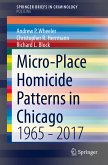Micro-Place Homicide Patterns in Chicago (eBook, PDF)
