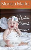 When Amish Romance Blooms A Collection of Amish Romance (eBook, ePUB)