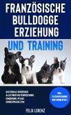 Französische Bulldogge Erziehung und Training